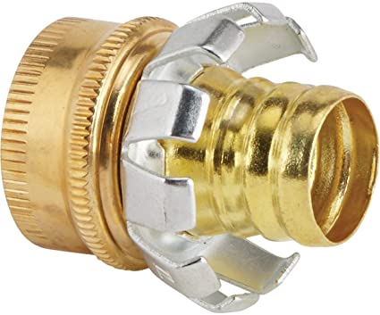 61ieP79AO1L._AC_SX425_.jpg