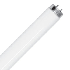 Electronic Fluorescent Tube Daylight