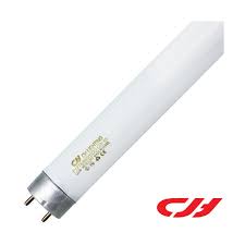 Electronic Fluorescent Tube Daylight